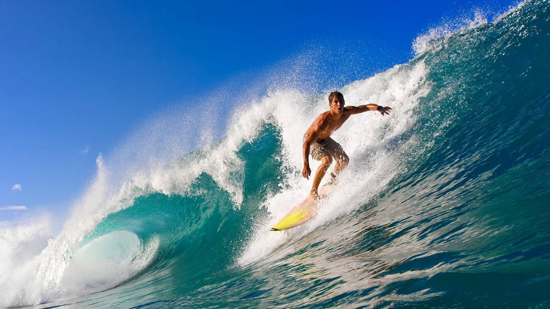 _绿军队员拼尽全力,险胜对手_,绿军的阵容